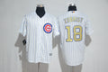 Custom Fan-Made Ben Zobrist Chicago Cubs #18 2017 Baseball Jersey