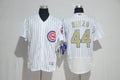 Custom Fan-Made Anthony Rizzo Chicago Cubs #44 2017 Baseball Jersey