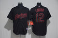 Custom Fan-Made Francisco Lindor Cleveland Guardians #12 Black 2017 Baseball Jersey