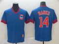 Custom Fan-Made Ernie Banks Chicago Cubs #14 Blue Throwback Baseball Jersey