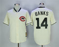 Custom Fan-Made Ernie Banks Chicago Cubs #14 Throwback Baseball Jersey