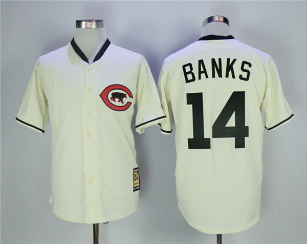 Custom Fan-Made Ernie Banks Chicago Cubs #14 Throwback Baseball Jersey