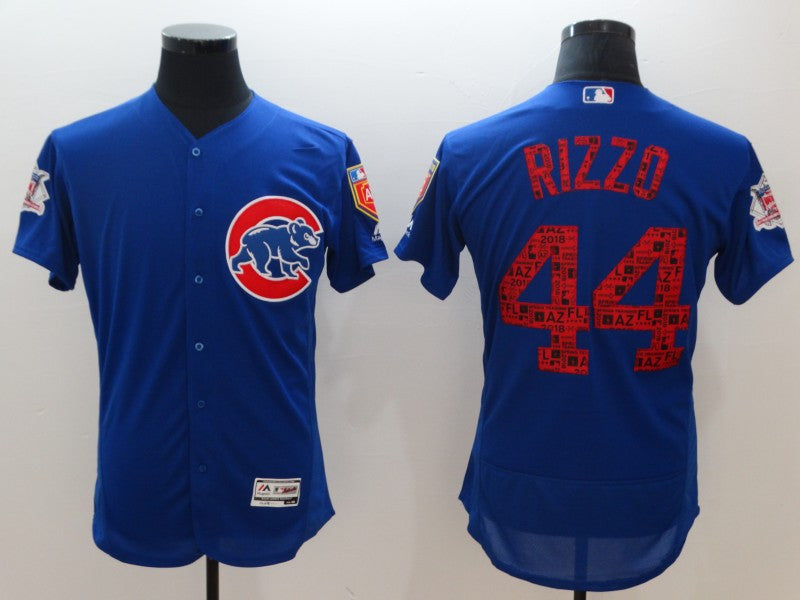 Custom Fan-Made Anthony Rizzo Spring Training Chicago Cubs #44 2018 Baseball Jersey