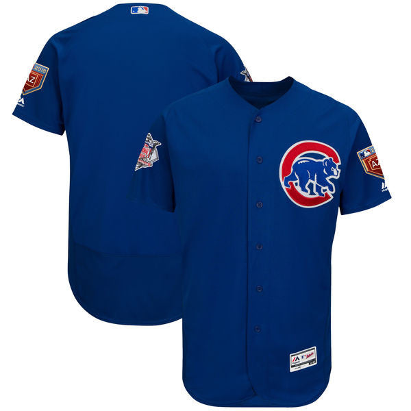 Custom Fan-Made Spring Training Royal 2018 Chicago Cubs Baseball Jersey Chicago Cubs 2018 Baseball Jersey