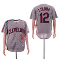 Custom Fan-Made Francisco Lindor Cleveland Guardians #12 Grey Throwback Turn Back Clock Edition Baseball Jersey