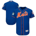 Custom Fan-Made Spring Training Royal 2017 New York Mets Baseball Jersey New York Mets 2017 Baseball Jersey