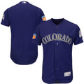 Custom Fan-Made Spring Training Royal 2017 Texas Rangers Baseball Jersey Texas Rangers 2017 Baseball Jersey