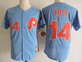 Custom Fan-Made Pete Rose Cincinnati Reds #14 Blue Baseball Jersey