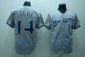 Custom Fan-Made Casey McGehee Milwaukee Brewers #14 Grey Baseball Jersey