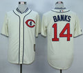 Custom Fan-Made Ernie Banks Chicago Cubs #14 1929 Throwback Turn Back Clock Edition Baseball Jersey
