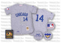 Custom Fan-Made Ernie Banks Chicago Cubs #14 Grey Throwback Baseball Jersey