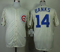 Custom Fan-Made Ernie Banks Chicago Cubs #14 1969 Throwback Turn Back Clock Edition Baseball Jersey