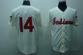 Custom Fan-Made Larry Doby Cleveland Guardians #14 Throwback Baseball Jersey
