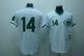 Custom Fan-Made Pete Rose Green Cincinnati Reds #14 White Throwback Baseball Jersey