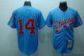 Custom Fan-Made Bill Melton Chicago White Sox #14 Blue Throwback Baseball Jersey